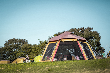 SHELTERシェルター