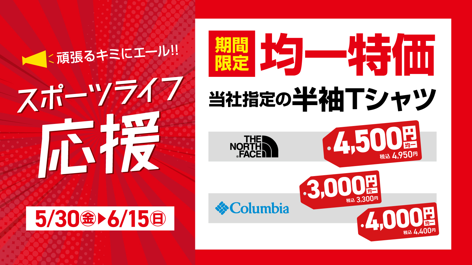【スポーツライフ応援】 期間限定 均一特価