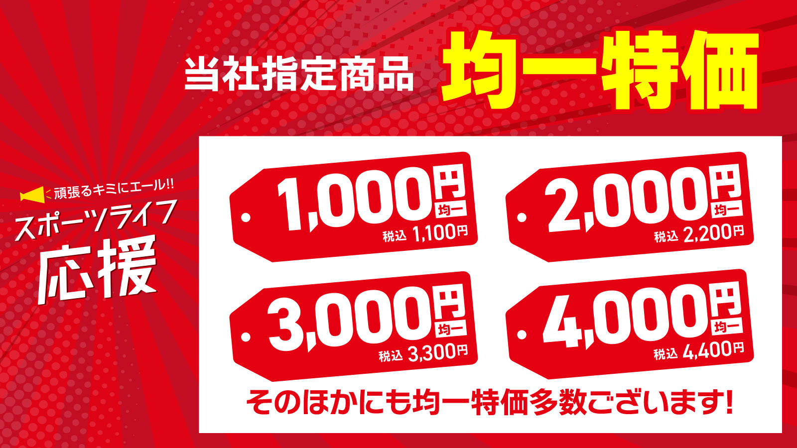 【スポーツライフ応援】均一特価