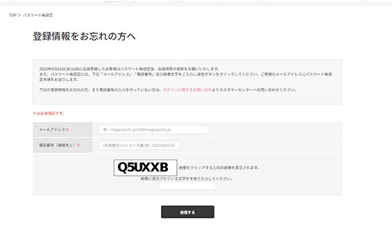 パスワード再設定 手順3