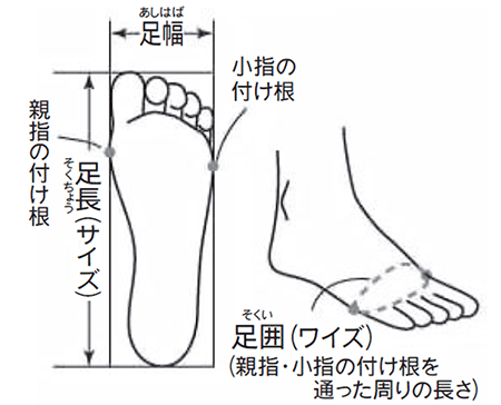 ENGINEERED MESH / MID-FOOT BAND