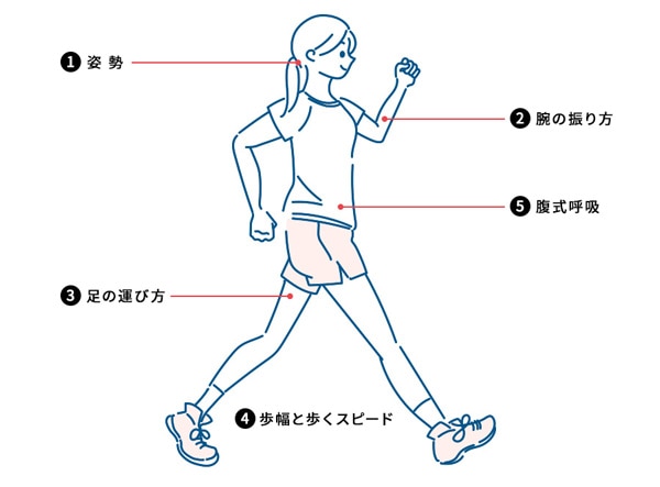ウォーキングの正しいやり方 効果を高めるポイントをプロが解説- メガ