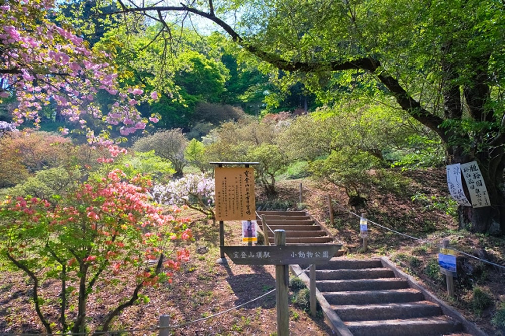 【埼玉】宝登山